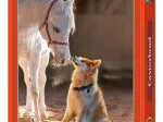 Unique Friendship