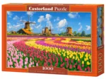 Windmühlen im Tulpenmeer