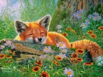 Foxy Dreams