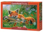 Foxy Dreams