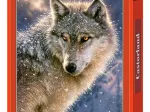 Einsamer Wolf