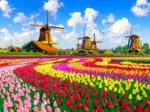 Dutch Windmills, Netherlands