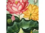 Blumen V