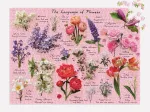 Sprache der Blumen – 1000-Teiliges Puzzle