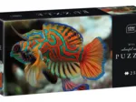 Colourful Nature - Mandarinfish