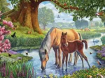 Steve Crisp - The Fell Ponies