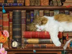 XXL Teile - The Cat Nap