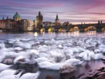 Christian Ringer - Prague