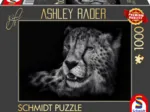 Speed - Gepard : Im Zeichen der Anmut 