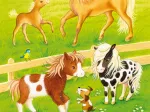 3 Puzzles - Niedliche Haustiere