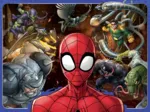 XXL Teile - Mutiger Spiderman