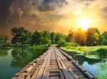 Nature Edition N°3: Mystisches Licht