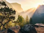 Nature Edition N°10 - Yosemite Park