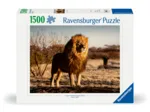 Löwe. Der König der Tiere