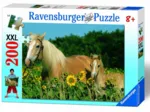 Pferdeglück