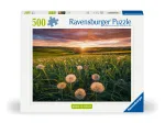 Nature Edition - Pusteblumen im Sonnenuntergang