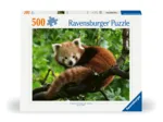 Süßer roter Panda