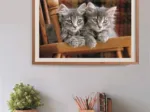 Kittens