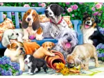 Dogs in the Garden