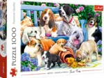 Dogs in the Garden