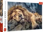 Sleeping Lion