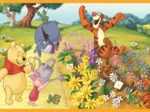 2 Puzzles - Day In The Garden