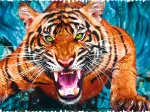Crazy Shapes - Facing a tiger