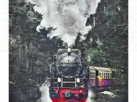 Puzzle aus Kunststoff - The Steam Train, Switzerland
